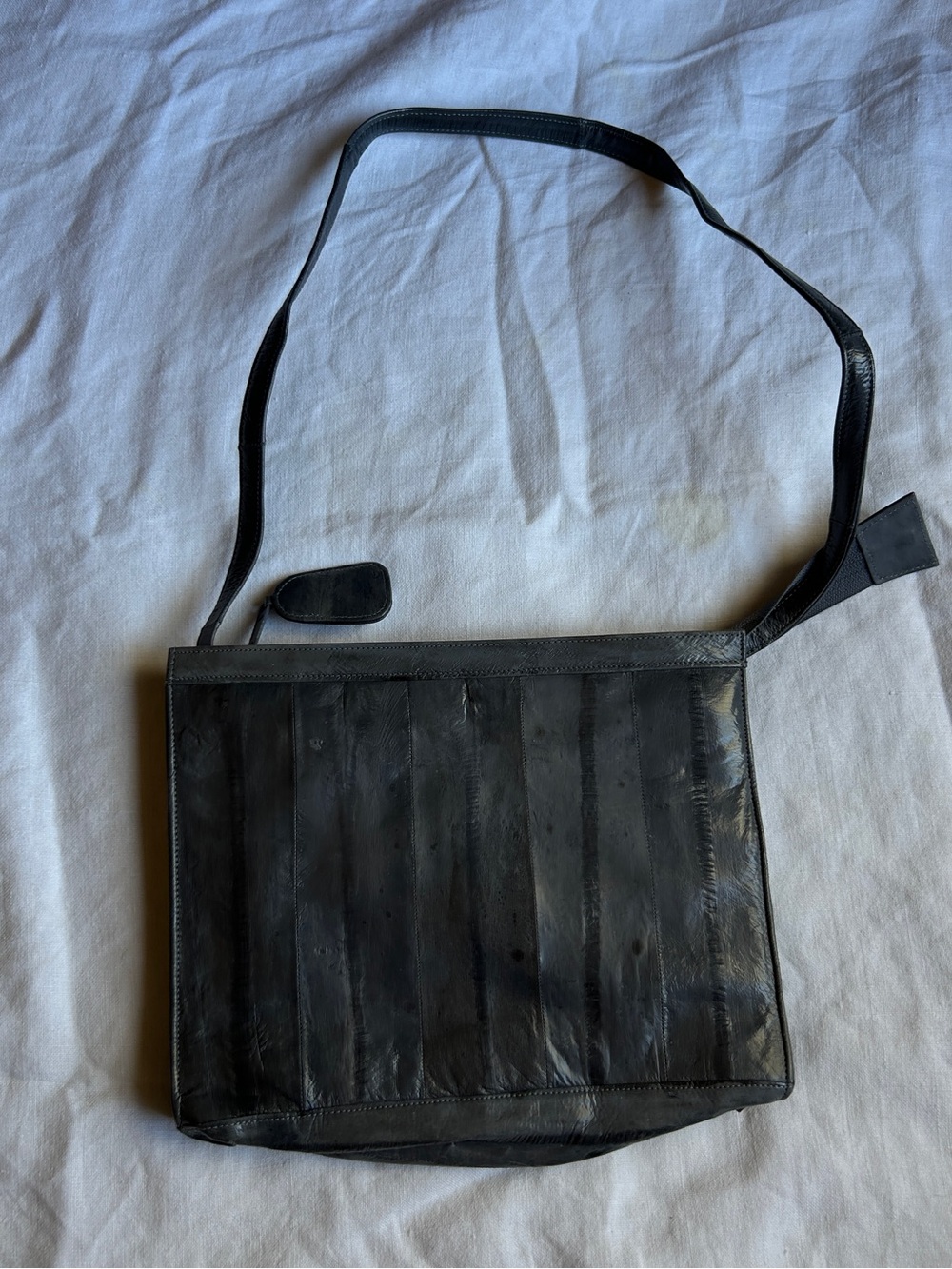 Genuine Eel skin purse
